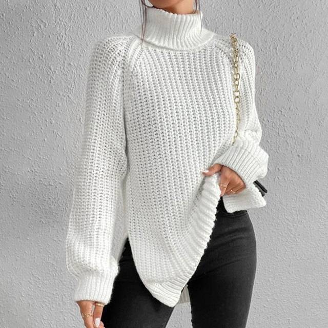 Nyzara Paris™ - Pull à col roulé uni