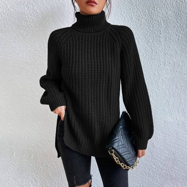 Nyzara Paris™ - Pull à col roulé uni