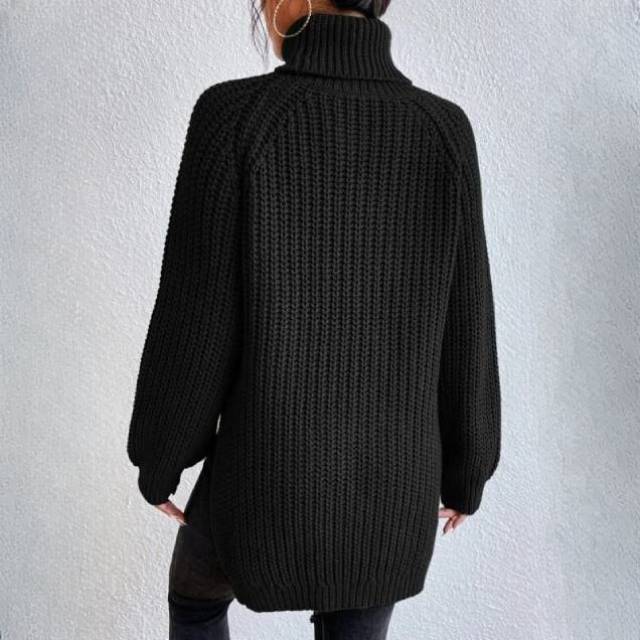 Nyzara Paris™ - Pull à col roulé uni